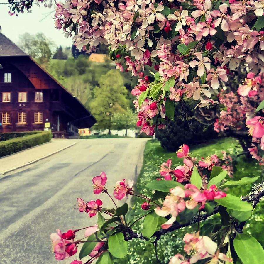 Emme Lodge Langnau Dış mekan fotoğraf