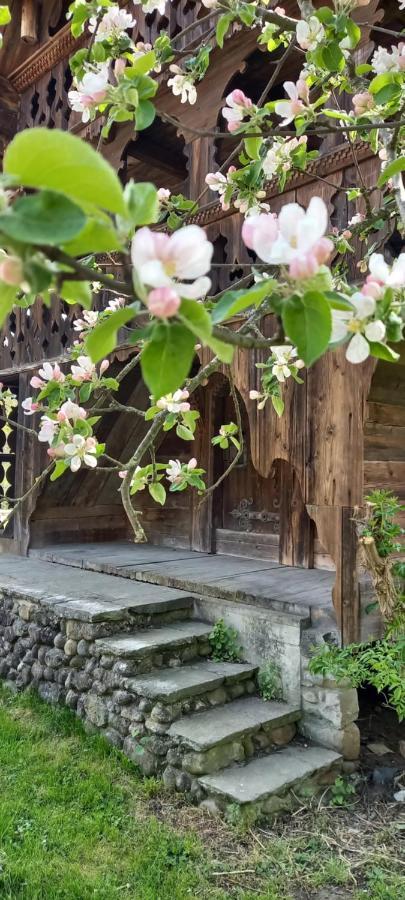 Emme Lodge Langnau Dış mekan fotoğraf