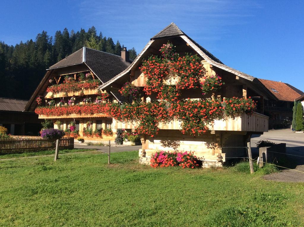 Emme Lodge Langnau Dış mekan fotoğraf