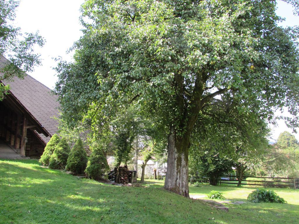 Emme Lodge Langnau Dış mekan fotoğraf